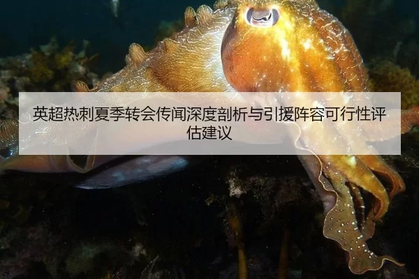英超热刺夏季转会传闻深度剖析与引援阵容可行性评估建议